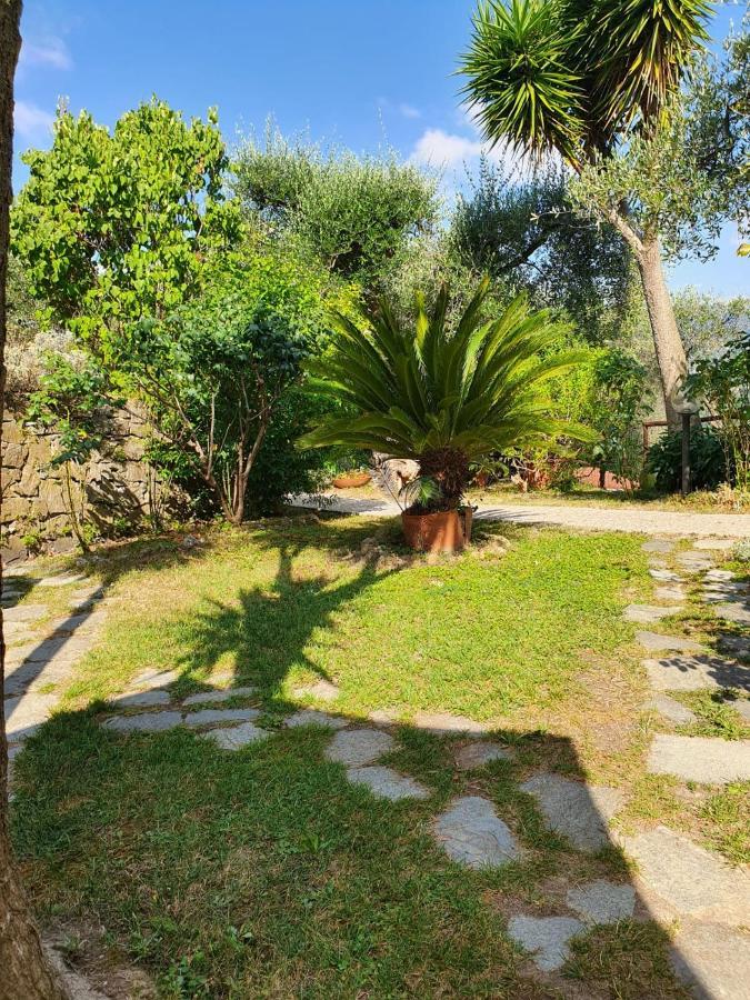 L'Uliveto D'Argento Bed & Breakfast Finale Ligure Dış mekan fotoğraf
